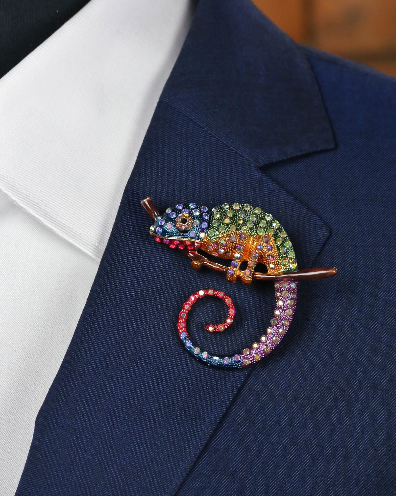 DÉCLIC Chameleon Pin