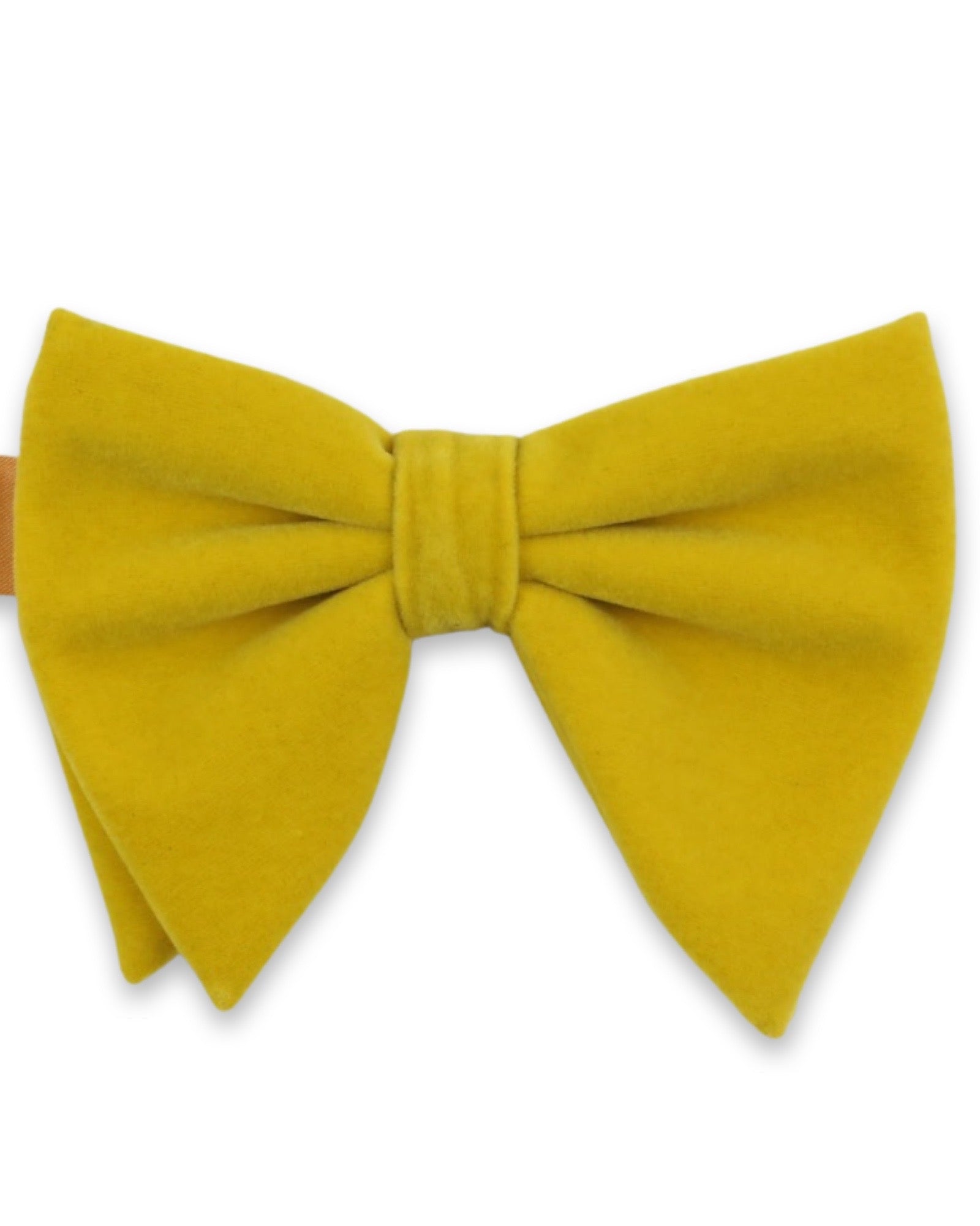 DÉCLIC Floppy Velvet Bow Tie - Mustard