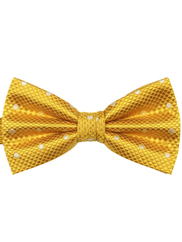 DÉCLIC Classic Paisley Bow Tie - Gold