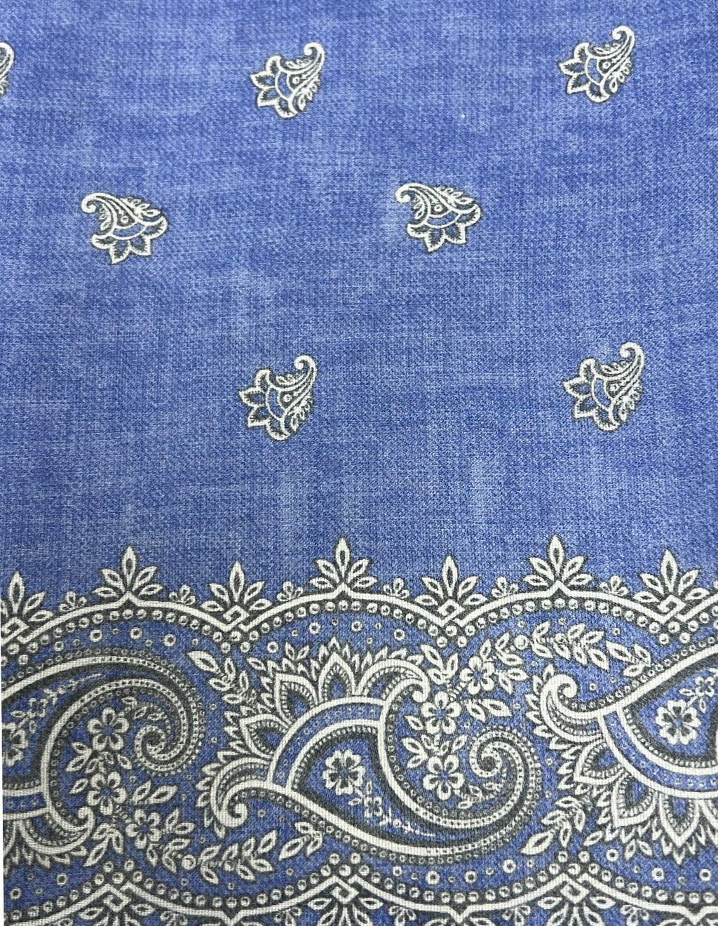 CANTINI Erfrem Bandana - Blue