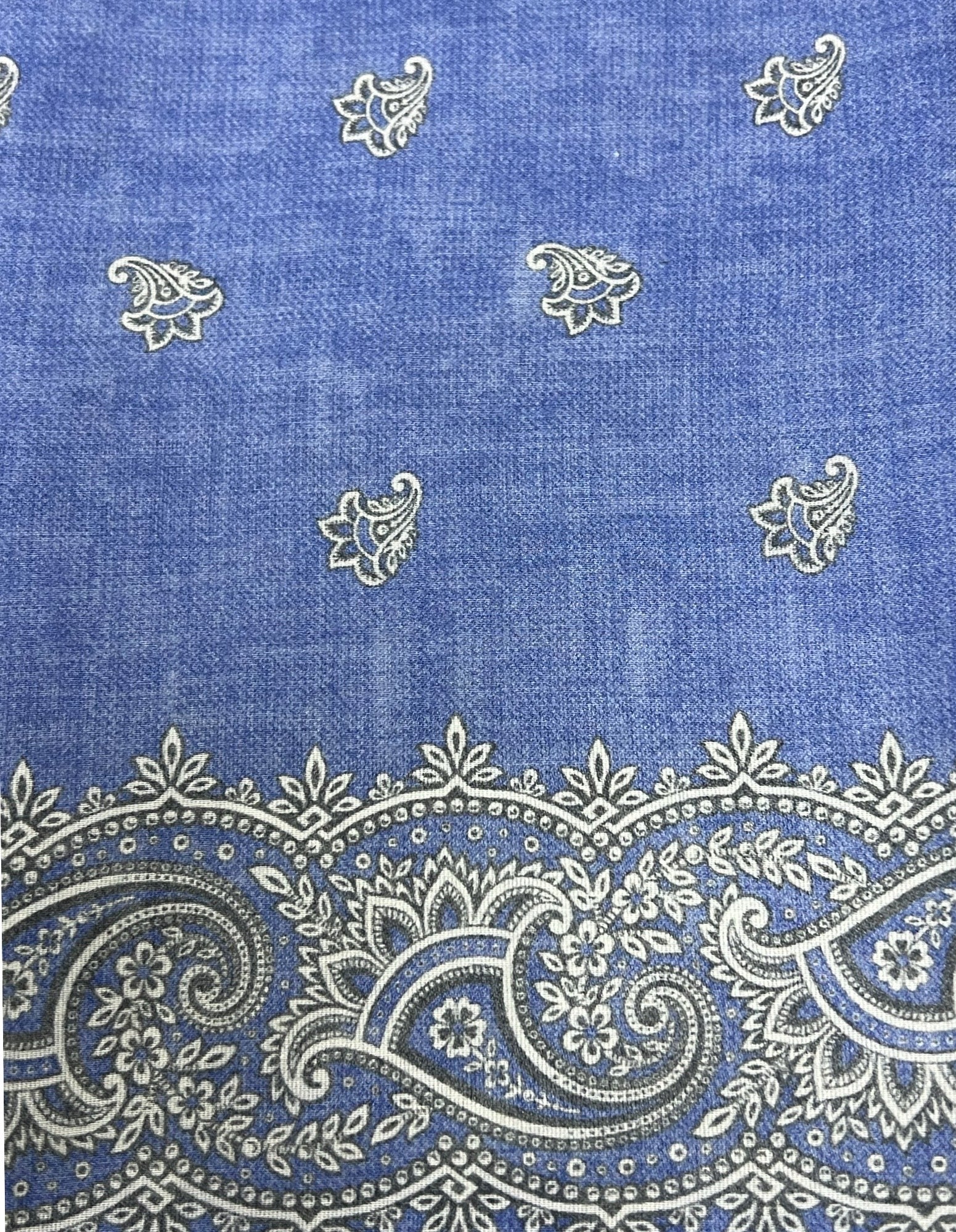CANTINI Erfrem Bandana - Blue