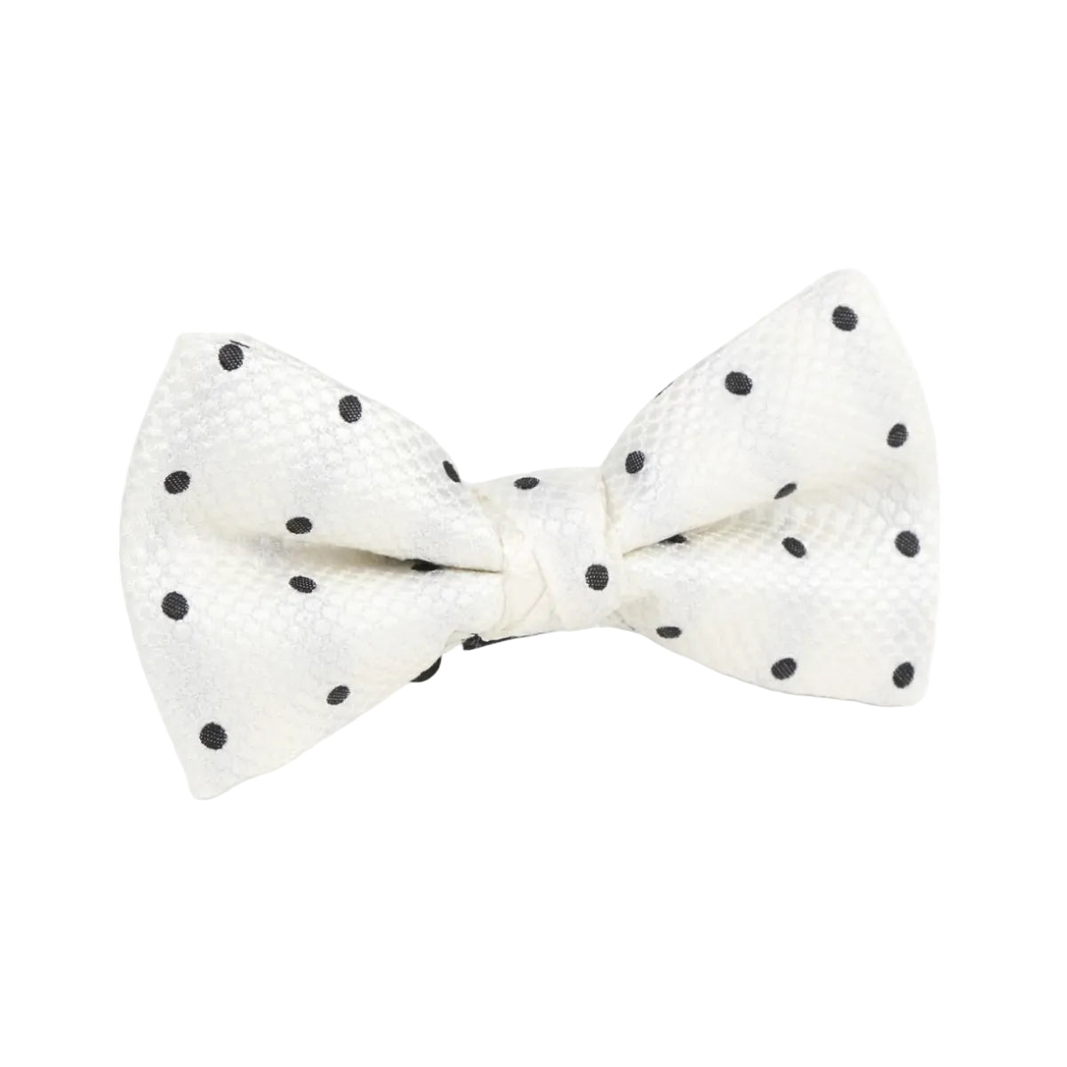 DÉCLIC Silk Polka Dot Single Dimple Bow - Ivory/ Black