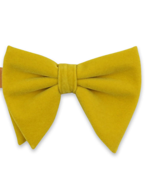 DÉCLIC Floppy Velvet Bow Tie - Mustard
